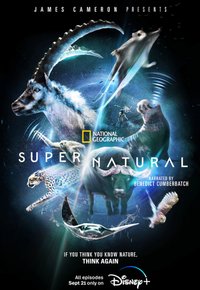 Plakat Serialu Cudowny świat zwierząt (2022)